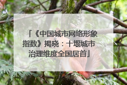 《中国城市网络形象指数》揭晓：十堰城市治理维度全国居首