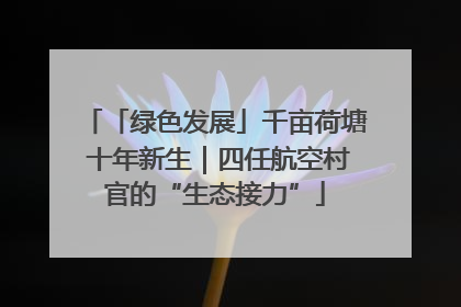 「绿色发展」千亩荷塘 十年新生｜四任航空村官的“生态接力”