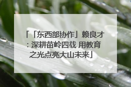 「东西部协作」赖良才：深耕苗岭四载 用教育之光点亮大山未来