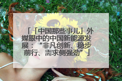 「中国那些事儿」外媒眼中的中国新能源发展：“非凡创新、稳步前行、需求侧强劲”