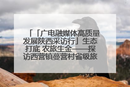 「广电融媒体高质量发展陕西采访行」生态打底 农旅生金——探访西营镇蔓营村省级旅游示范村的振兴密码