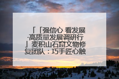 「强信心 看发展·高质量发展调研行」麦积山石窟文物修复团队：巧手匠心触摸“光阴的故事”
