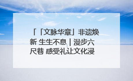 「文脉华章」非遗焕新 生生不息｜漫步六尺巷 感受礼让文化浸润的“巷”往生活