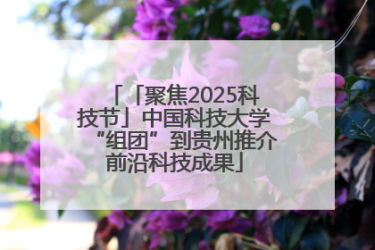 「聚焦2025科技节」中国科技大学“组团”到贵州推介前沿科技成果