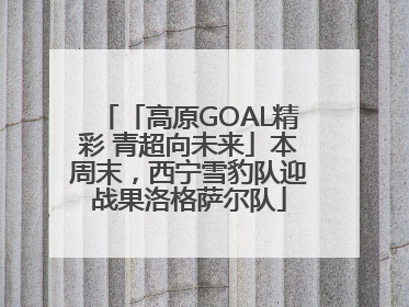 「高原GOAL精彩 青超向未来」本周末，西宁雪豹队迎战果洛格萨尔队