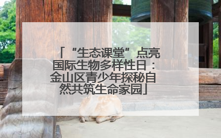 “生态课堂”点亮国际生物多样性日：金山区青少年探秘自然共筑生命家园