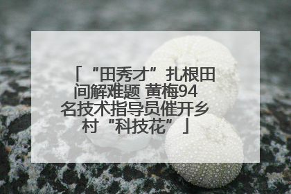 “田秀才”扎根田间解难题 黄梅94名技术指导员催开乡村“科技花”