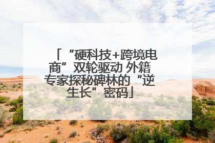“硬科技+跨境电商”双轮驱动 外籍专家探秘碑林的“逆生长”密码