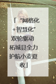 “网格化+智慧化”双轮驱动 柘城县全力护航小麦夏收