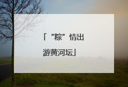 “粽”情出游黄河坛