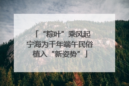 “粽叶”乘风起 宁海为千年端午民俗植入“新姿势”