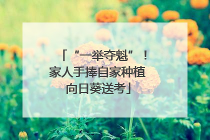 “一举夺魁”！家人手捧自家种植向日葵送考
