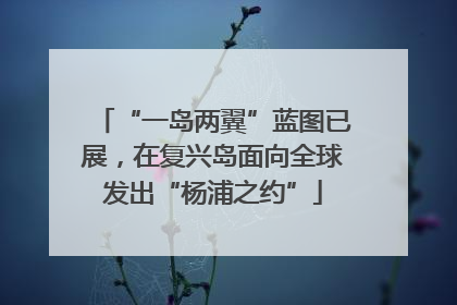 “一岛两翼”蓝图已展，在复兴岛面向全球发出“杨浦之约”