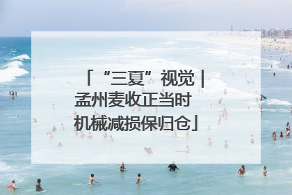 “三夏”视觉｜孟州麦收正当时 机械减损保归仓