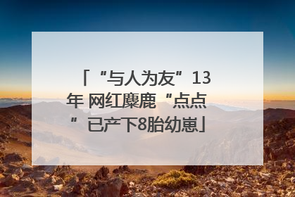 “与人为友”13年 网红麋鹿“点点”已产下8胎幼崽