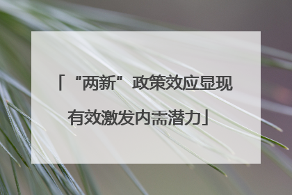 “两新”政策效应显现 有效激发内需潜力