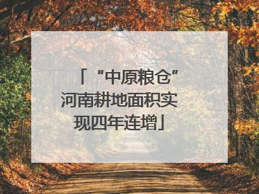 “中原粮仓”河南耕地面积实现四年连增
