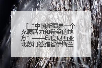 “中国新疆是一个充满活力和希望的地方”——印度尼西亚北苏门答腊省伊斯兰教代表团参访新疆