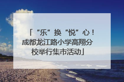 “乐”换“悦”心！成都龙江路小学高翔分校举行集市活动