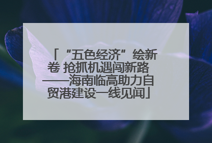 “五色经济”绘新卷 抢抓机遇闯新路——海南临高助力自贸港建设一线见闻