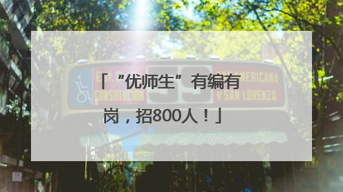 “优师生”有编有岗，招800人！