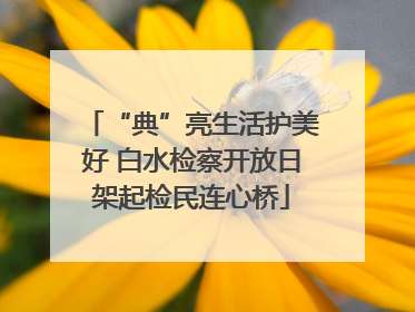 “典”亮生活护美好 白水检察开放日架起检民连心桥