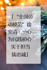 “全国劳动模范”徐安清：一心为民践初心 实干担当铸忠诚