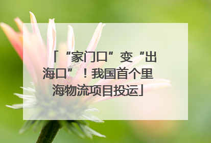 “家门口”变“出海口”！我国首个里海物流项目投运