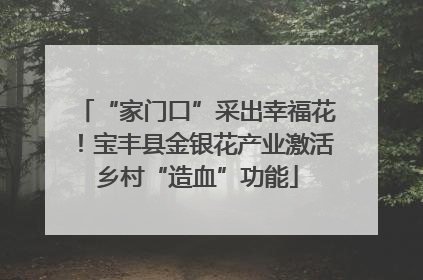 “家门口”采出幸福花！宝丰县金银花产业激活乡村“造血”功能