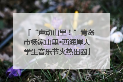 “声动山里！”青岛市杨家山里•西海岸大学生音乐节火热出圈