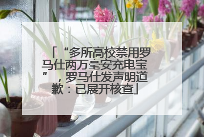“多所高校禁用罗马仕两万毫安充电宝”，罗马仕发声明道歉：已展开核查