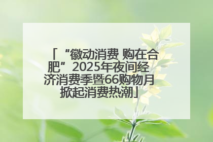 “徽动消费 购在合肥”2025年夜间经济消费季暨66购物月掀起消费热潮