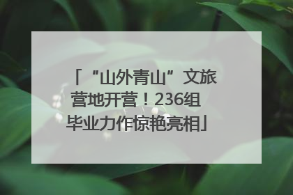 “山外青山”文旅营地开营！236组毕业力作惊艳亮相