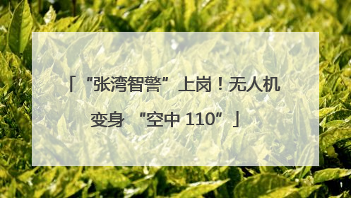“张湾智警”上岗！无人机变身 “空中 110”