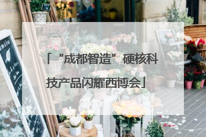 “成都智造”硬核科技产品闪耀西博会