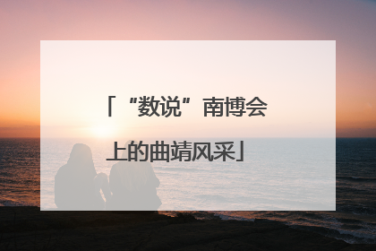 “数说”南博会上的曲靖风采