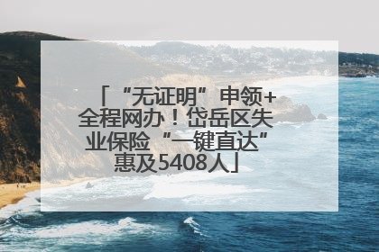“无证明”申领+全程网办！岱岳区失业保险“一键直达”惠及5408人