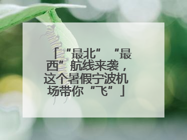 “最北”“最西”航线来袭，这个暑假宁波机场带你“飞”
