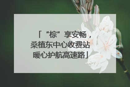 “棕”享安畅，桑植东中心收费站暖心护航高速路