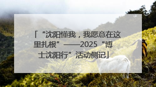 “沈阳懂我，我愿意在这里扎根”——2025“博士沈阳行”活动侧记