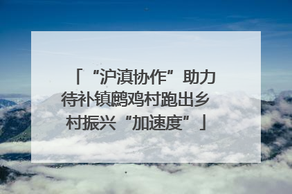“沪滇协作”助力待补镇鹧鸡村跑出乡村振兴“加速度”