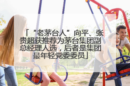 “老茅台人”向平、张贵超获推荐为茅台集团副总经理人选，后者是集团最年轻党委委员