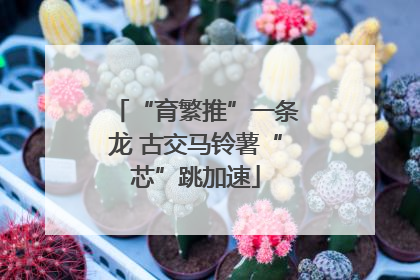 “育繁推”一条龙 古交马铃薯“芯”跳加速
