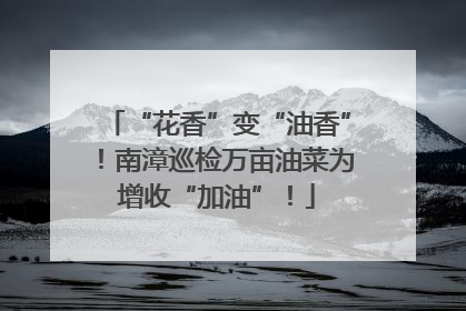 “花香”变“油香”！南漳巡检万亩油菜为增收“加油”！