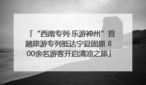 “西南专列·乐游神州”首趟旅游专列抵达宁夏固原 800余名游客开启清凉之旅
