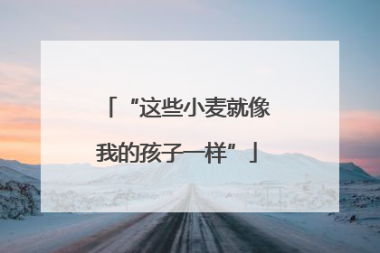 “这些小麦就像我的孩子一样”