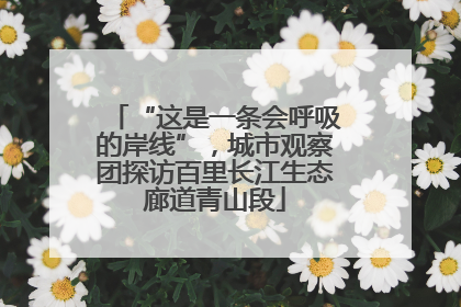 “这是一条会呼吸的岸线”，城市观察团探访百里长江生态廊道青山段