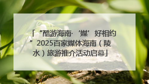 “酷游海南·‘媒’好相约”2025百家媒体海南（陵水）旅游推介活动启幕