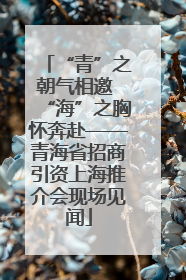 “青”之朝气相邀 “海”之胸怀奔赴——青海省招商引资上海推介会现场见闻