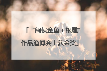 “闽侯金鱼＋根雕”作品渔博会上获金奖